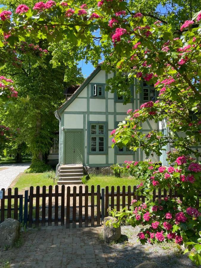 Jagdschloss Friedrichsmoor Neustadt-Glewe Eksteriør billede